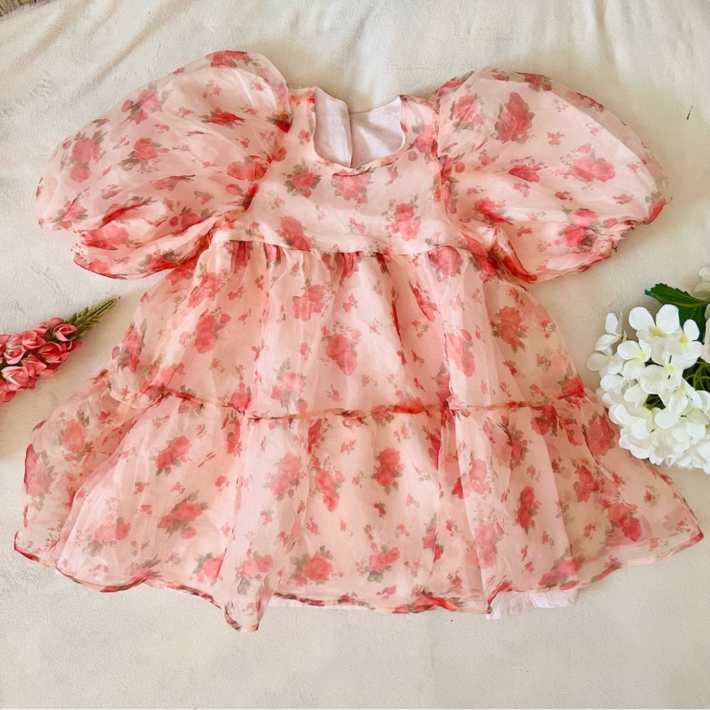 NEW Floral Organza Dress